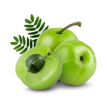 Imported food product 12
