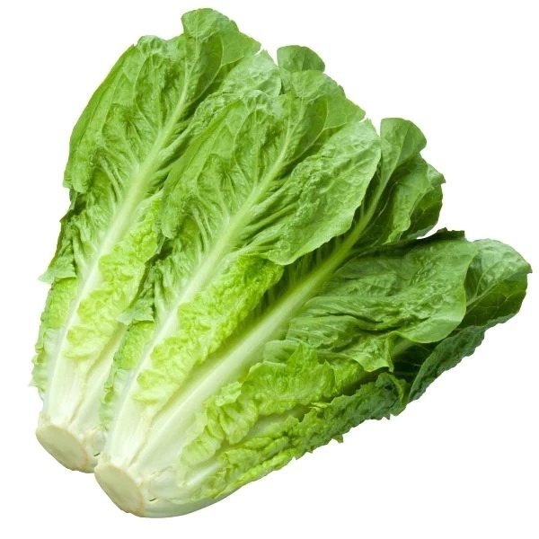 Imported food product 39