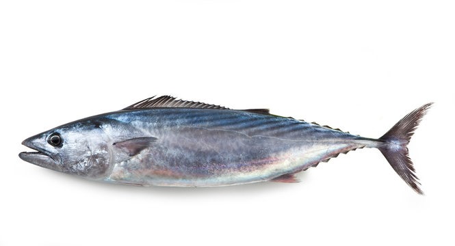 Imported food product 75