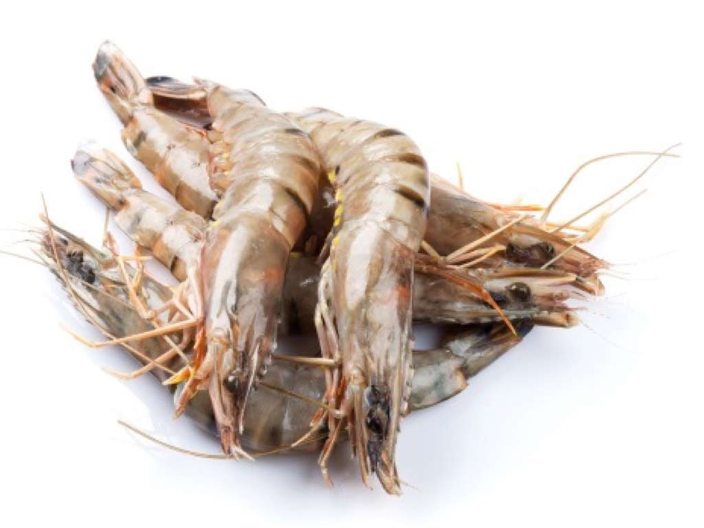 Imported food product 79